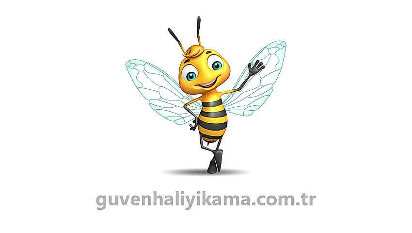 Güzelyalı Mahallesi Halı Yıkama